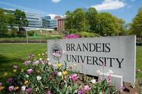 A sign that says brandeis university in front of some flowers.